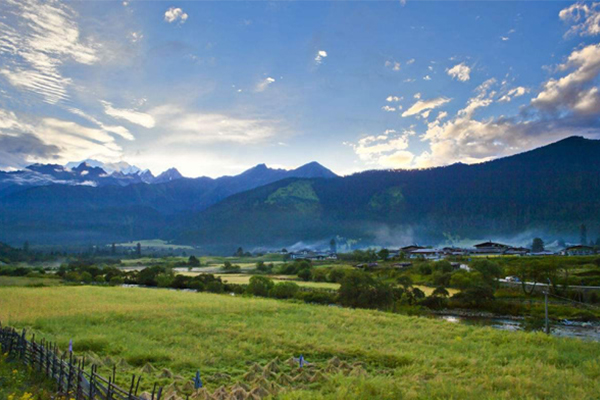 林芝-巴松錯-魯朗林海-雅魯藏布大峽谷3日游